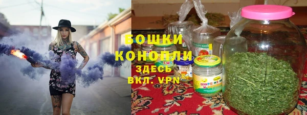 mdpv Белокуриха