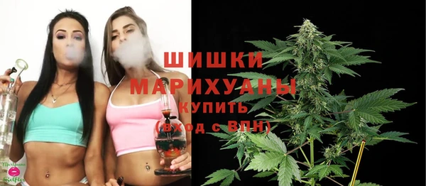 mdpv Белокуриха